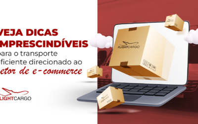 Veja dicas imprescindíveis para o transporte eficiente direcionado ao setor de e-commerce