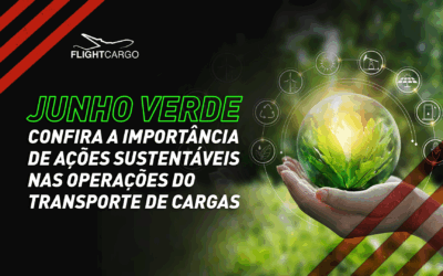 Junho verde: Confira a importância de ações sustentáveis nas operações do transporte de cargas